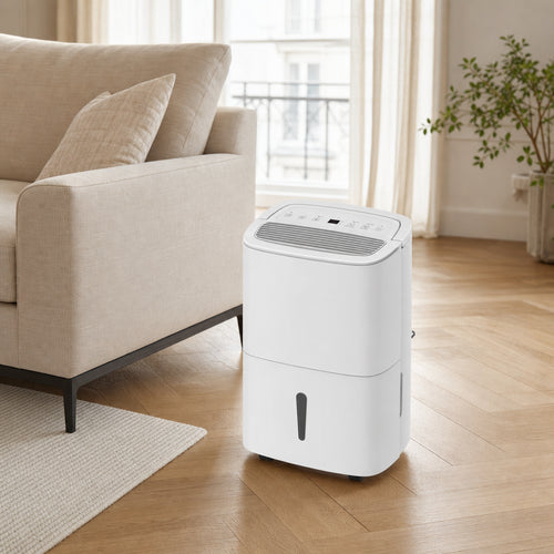 Déshumidificateur DrySense 30L dans un salon français lumineux à côté d'un canapé beige